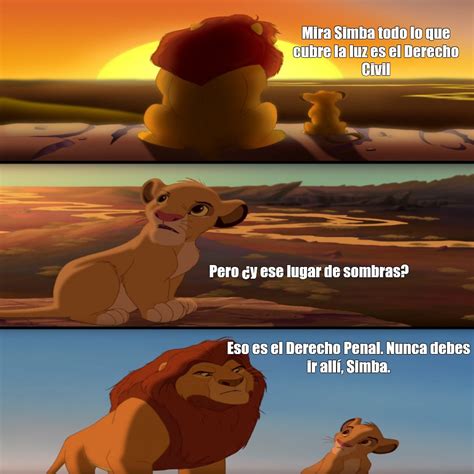 Mira Simba Todo Lo Que Cubre La Luz Es El Derecho Civil