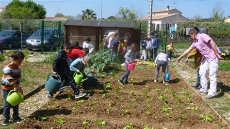 Le Potager Des Jeunes Pousses Avance Midilibre Fr