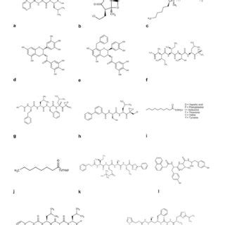 Representative E3 ubiquitin ligase inhibitors (a-m) | Download ...