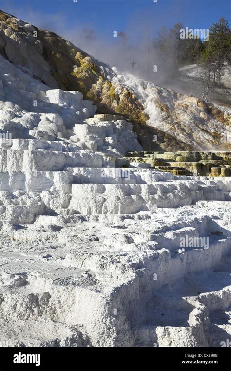 Mammoth Hot Springs Stock Photo Alamy