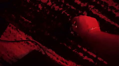 Sex Dungeon Videos Page XVIDEOS