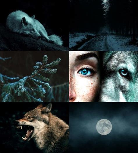 Jangleprojet Werewolf Aesthetic Wolf Spirit Animal Fantasy Aesthetic