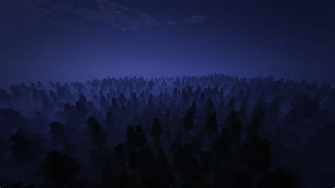 Woods At Night Wallpaper