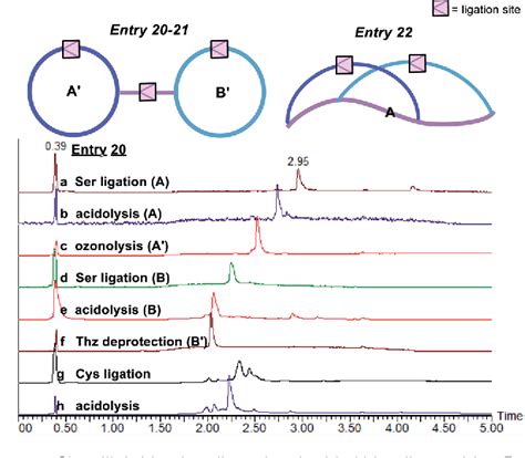 Figure From Construction Of Diverse Peptide Structural Architectures