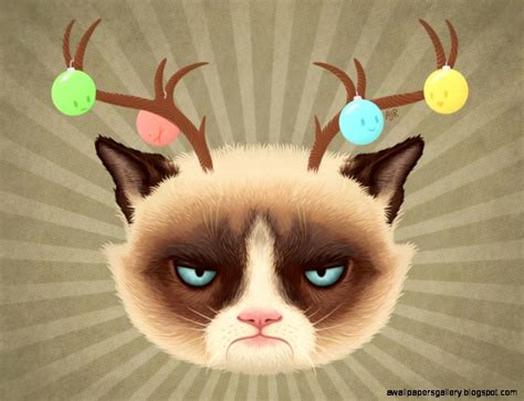 Grumpy Cat Christmas Wallpaper - WallpaperSafari