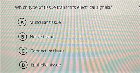 Nervous Tissue Transmits Messages Through Electrical Messages True False