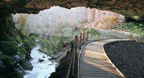 Centro De Interpretaci N De La Fauna Glacial Informaci N Pr Ctica