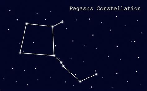 Constelación de pegasus en el fondo del cielo estrellado plantilla de