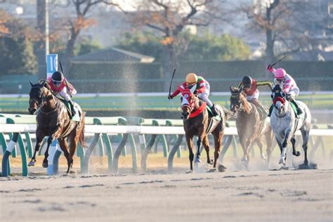 【カペラs】テイエムトッキュウが得意舞台で重賞初制覇 日刊ゲンダイ競馬