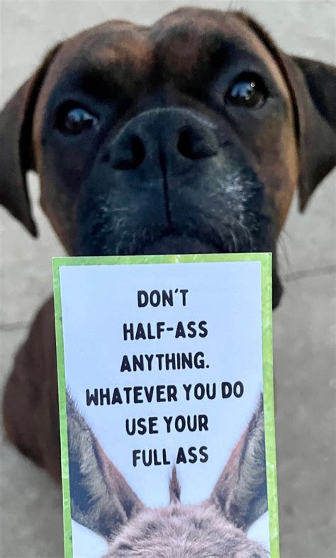 Dont Half Ass Anything Bookmark Funny Book Gift Etsy