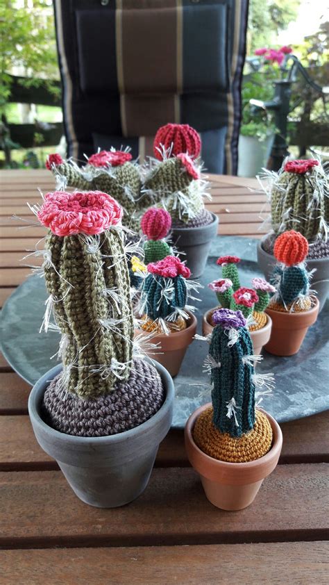 Pin De Letsmorb En Cactus Crochet Cactus De Ganchillo Manualidades