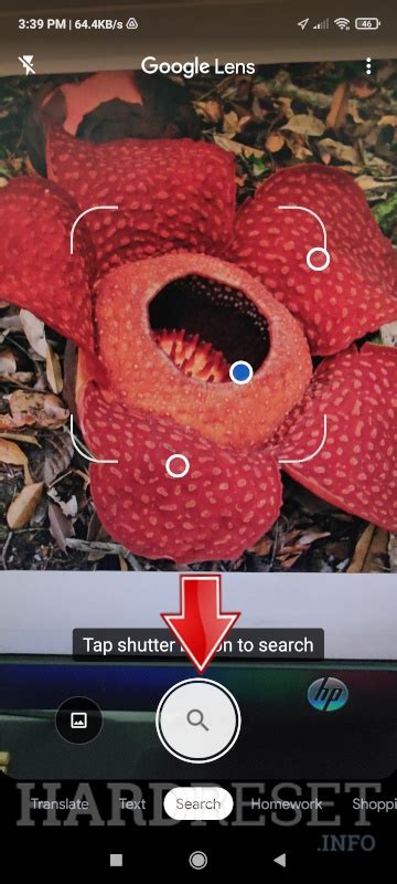 How To Use Google Lens To Identify Plant How To Hardreset Info