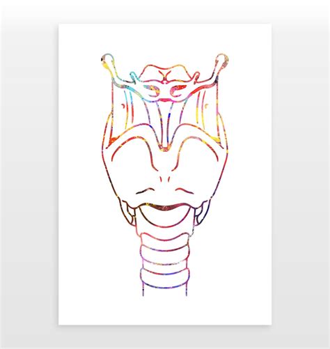 Larynx Poster Human Anatomy Print Watercolour Print - Etsy