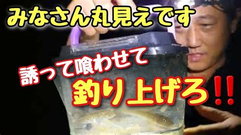 ハゼが丸見え⁉️秋の夜長は見えハゼ釣りを楽しむ何故か手強い日でした Youtube