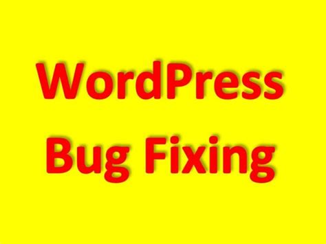 Wordpress Wordpress Plugins Themes Bug Fixing And Troubleshooting