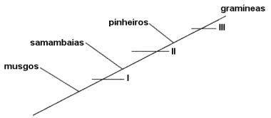 Questão O esquema abaixo representa a aquisição de estruturas na