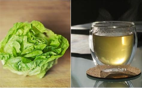 Beneficios del Té de Lechuga para tu Salud