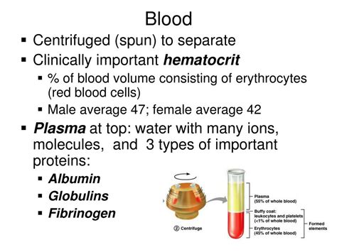 Ppt Hematology Powerpoint Presentation Free Download Id 381513