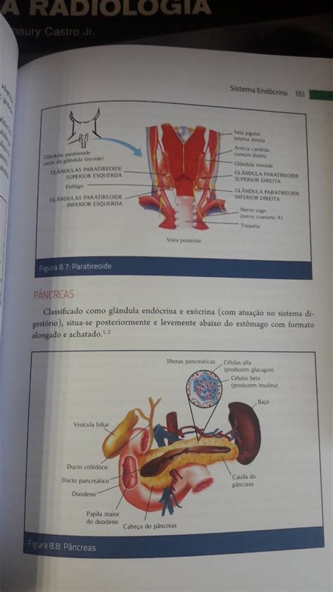 Livro Anatomia E Fisiologia Humana Edi O Mercado Livre