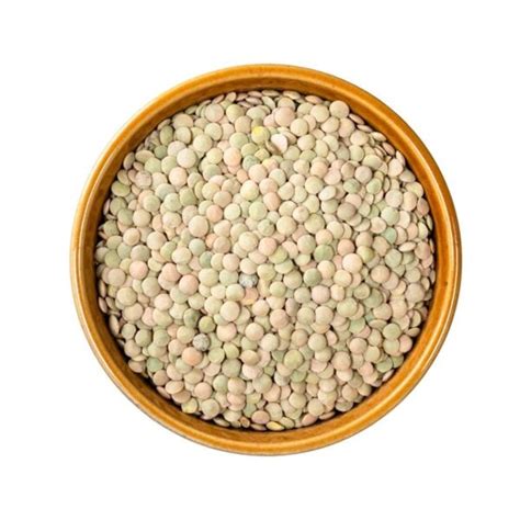 Bulk Lentils Green Whole Wholesale Importers