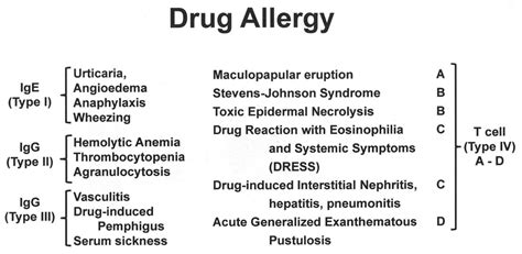 The Sub Classification Of Type Iv Delayed Hypersensitivity Reactions To