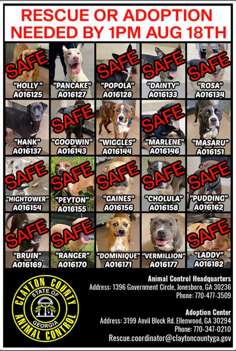 20 Dogs At Shelter Set To Be Euthanized Have Been All Got Adopted