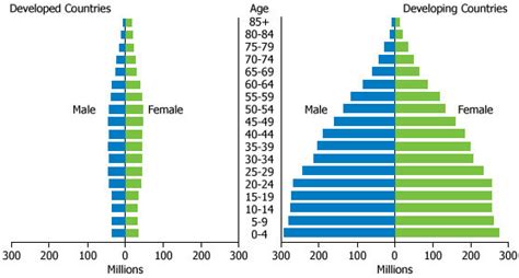 World Population Pyramid