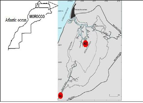 Map showing sampling locations of Merja Zerga (MZ) and Nador canal (NC ...