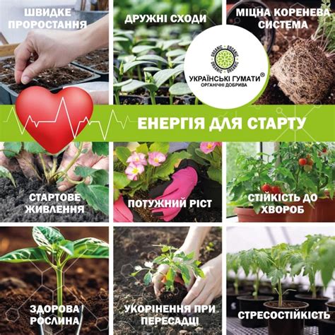 Удобрение органическое для рассады овощей и цветов Українські гумати ...
