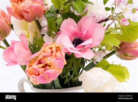 Elegant Mixed Pastel Colored Spring Bouquet On White Background Spring