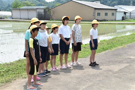 田植え体験 美濃加茂市立伊深小学校