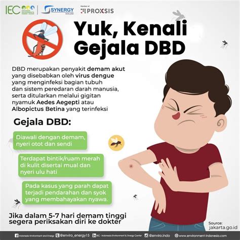 Yuk Kenali Gejala DBD Synergy Solusi Group