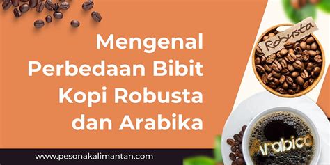 Mengenal Perbedaan Bibit Kopi Robusta Dan Arabika Pesonakalimantan