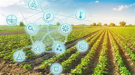 Transformación Digital En El Agro Maximiza Tus Recursos