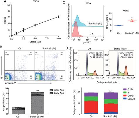 Figure From Rad Aptamer Regulates Dna Damage Repair And Stat In