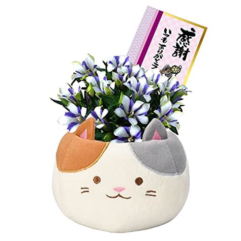 【敬老の日】りんどうの花のおすすめギフト！鉢植えや花で祖父母に感謝を伝えるプレゼントランキング【予算10000円以内】【予算10000円