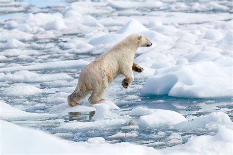 Svalbard Hanahoe Photography