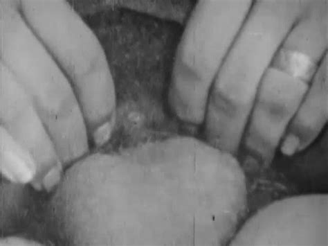 Danish Films Sex And The HotOldmovies Adult DVD Empire