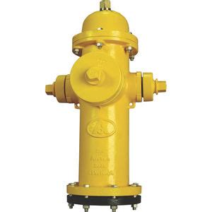 Boca De Incendio Waterous Classic Pacer American Flow Control