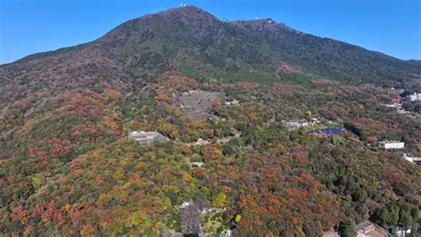 筑波山・山麓の紅葉名所、2024年紅葉見頃情報茨城vrツアー