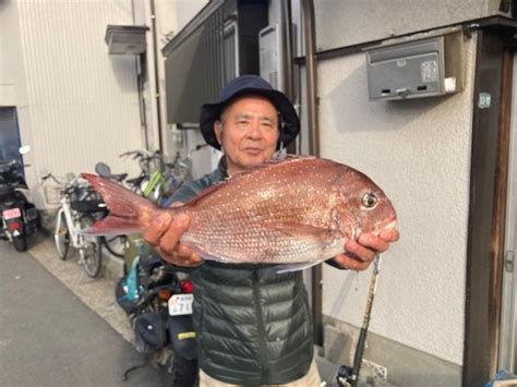 【釣果速報】神奈川県太田屋で迫力の2kgマダイ釣れる！ゲストもクロダイ＆メジナと超豪華！春は大物釣りに決まり！