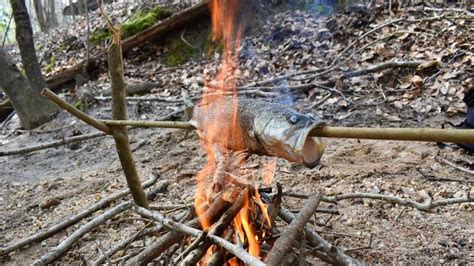 Primitive Style Catch N Cook Fish Roasted Over Open Fire