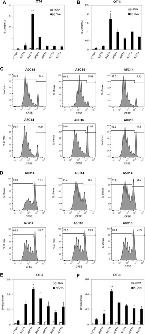 Activation Of Ot I And Ot Ii Cells Through Mhc I And Mhc Ii Mediated