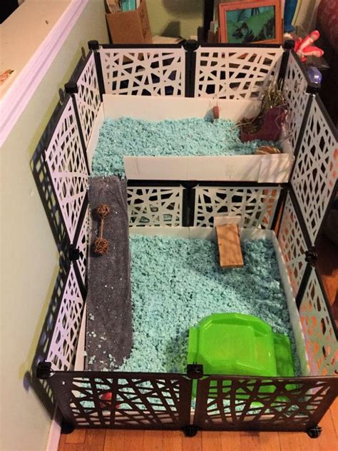 20 Homemade DIY Guinea Pig Cage Ideas