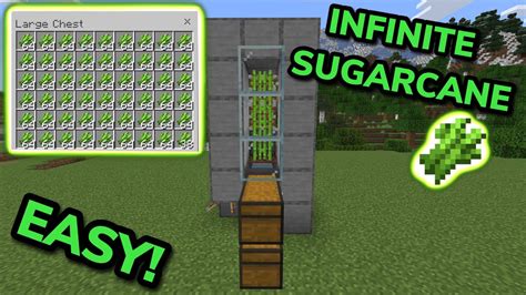 EASIEST 1 21 FAST AUTOMATIC SUGARCANE FARM TUTORIAL In Minecraft