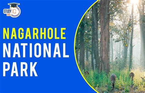 Nagarhole National Park History Flora Fauna And Tiger Status