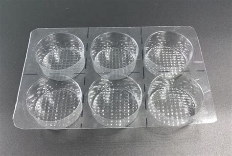 PVC Blister Tray, PVC Blister Packaging Tray Manufacturer