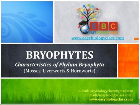 (PPTX) Bryophyta Characteristics PPT by Easybiologyclass - DOKUMEN.TIPS