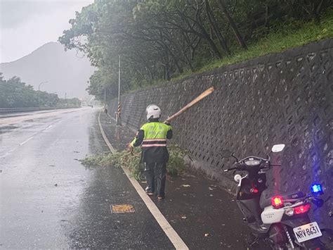 海葵颱風來襲造成多處路樹倒塌 新城警方冒雨到場協助排除