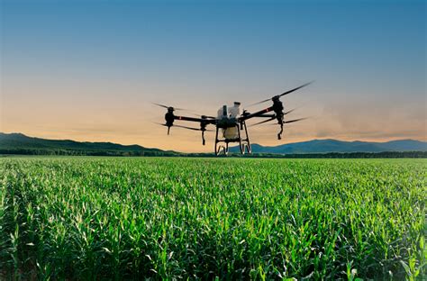 Drone Pulverizador Dji Agras T Agro